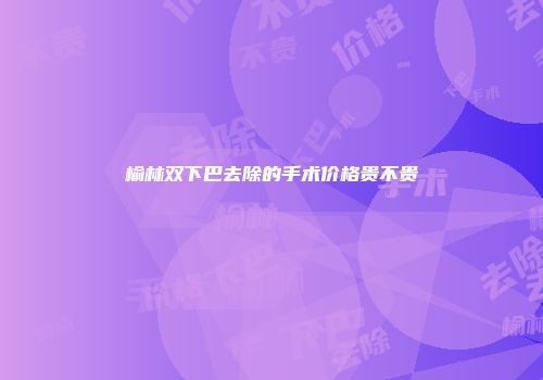 榆林双下巴去除的手术价格贵不贵