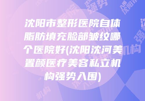 沈阳市整形医院自体脂肪填充脸部皱纹哪个医院好(沈阳沈河美置颜医疗美容私立机构强势入围)