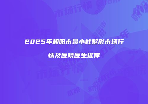 2025年朝阳市鼻小柱整形市场行情及医院医生推荐