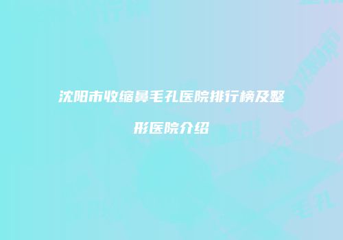 沈阳市收缩鼻毛孔医院排行榜及整形医院介绍