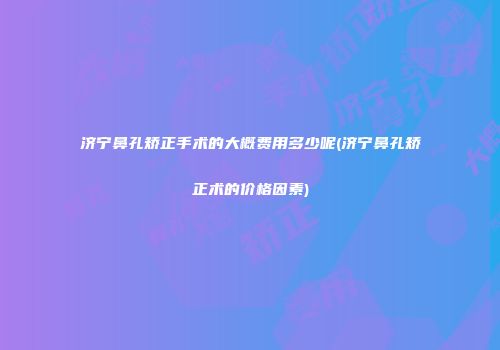 济宁鼻孔矫正手术的大概费用多少呢(济宁鼻孔矫正术的价格因素)
