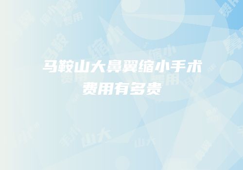 马鞍山大鼻翼缩小手术费用有多贵