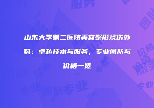 山东大学第二医院美容整形烧伤外科：卓越技术与服务，专业团队与价格一览