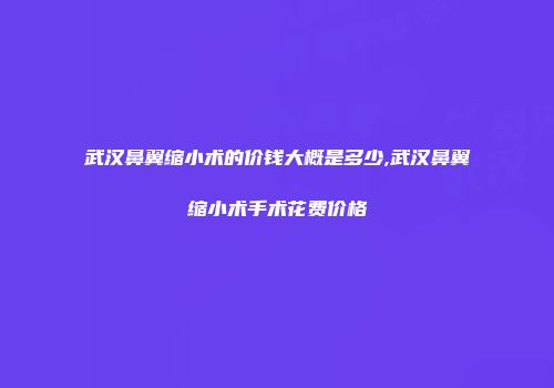 武汉鼻翼缩小术的价钱大概是多少,武汉鼻翼缩小术手术花费价格