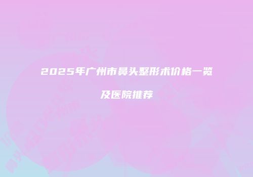 2025年广州市鼻头整形术价格一览及医院推荐