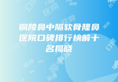 铜陵鼻中隔软骨隆鼻医院口碑排行榜前十名揭晓