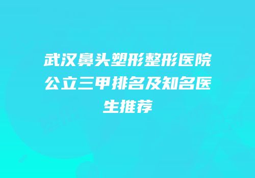 武汉鼻头塑形整形医院公立三甲排名及知名医生推荐