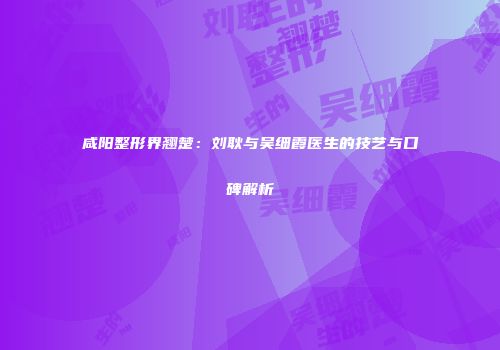 咸阳整形界翘楚：刘耿与吴细霞医生的技艺与口碑解析