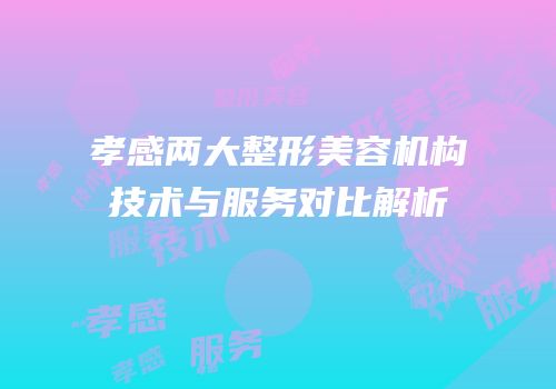 孝感两大整形美容机构技术与服务对比解析
