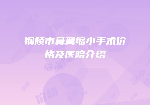 铜陵市鼻翼缩小手术价格及医院介绍