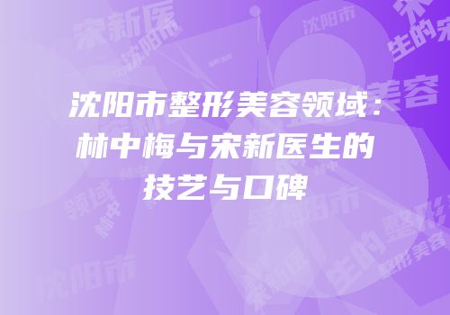 沈阳市整形美容领域：林中梅与宋新医生的技艺与口碑
