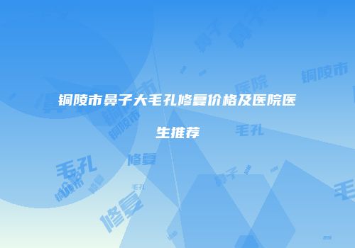 铜陵市鼻子大毛孔修复价格及医院医生推荐