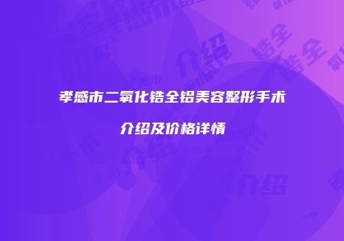孝感市二氧化锆全铝美容整形手术介绍及价格详情