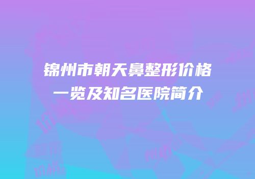 锦州市朝天鼻整形价格一览及知名医院简介
