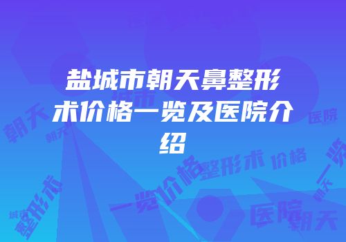 盐城市朝天鼻整形术价格一览及医院介绍