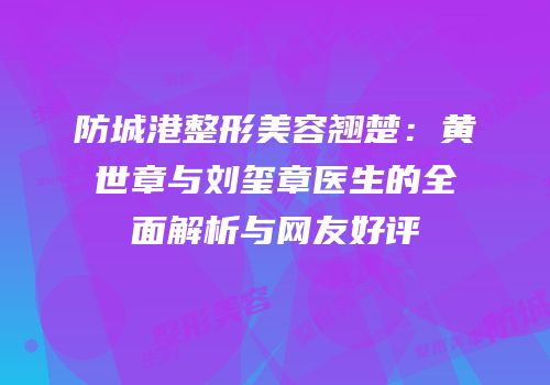 防城港整形美容翘楚：黄世章与刘玺章医生的全面解析与网友好评