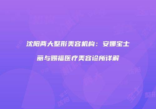 沈阳两大整形美容机构：安娜宝士丽与赐福医疗美容诊所详解