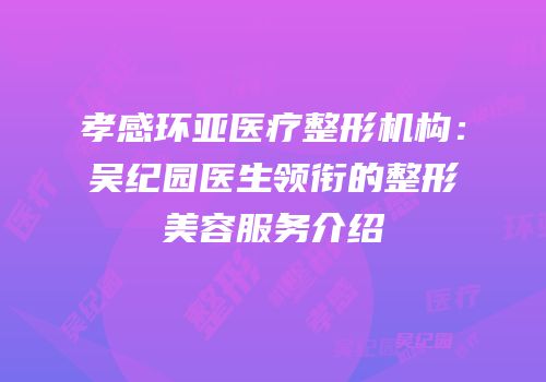 孝感环亚医疗整形机构：吴纪园医生领衔的整形美容服务介绍