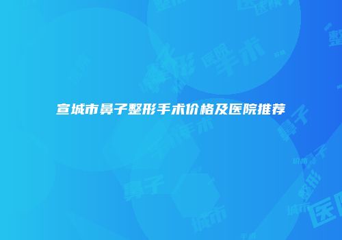 宣城市鼻子整形手术价格及医院推荐