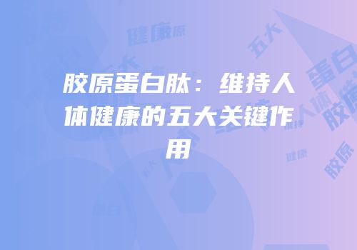 胶原蛋白肽：维持人体健康的五大关键作用