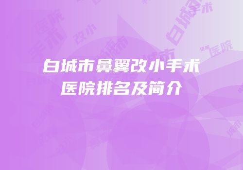 白城市鼻翼改小手术医院排名及简介