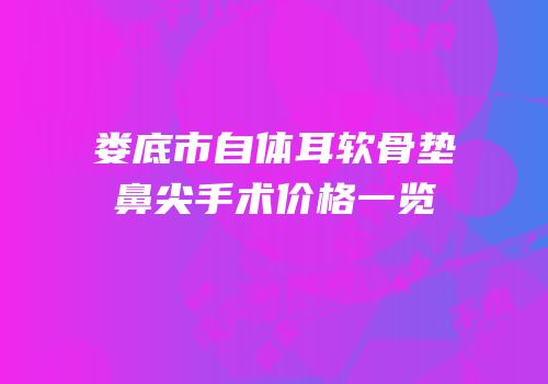 娄底市自体耳软骨垫鼻尖手术价格一览