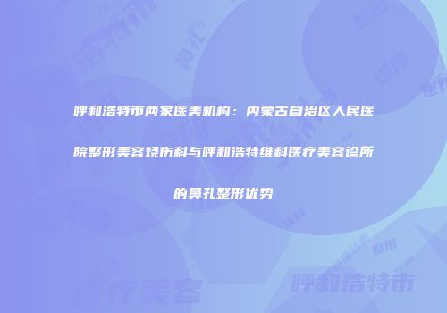 呼和浩特市两家医美机构：内蒙古自治区人民医院整形美容烧伤科与呼和浩特维科医疗美容诊所的鼻孔整形优势
