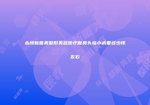 永州新唯美整形美容医疗做鼻头缩小术要多少钱左右