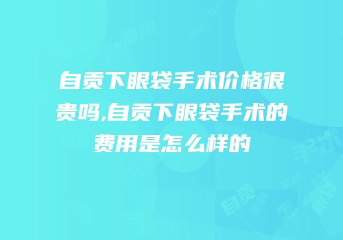 自贡下眼袋手术价格很贵吗,自贡下眼袋手术的费用是怎么样的