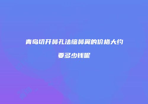 青岛切开鼻孔法缩鼻翼的价格大约要多少钱呢