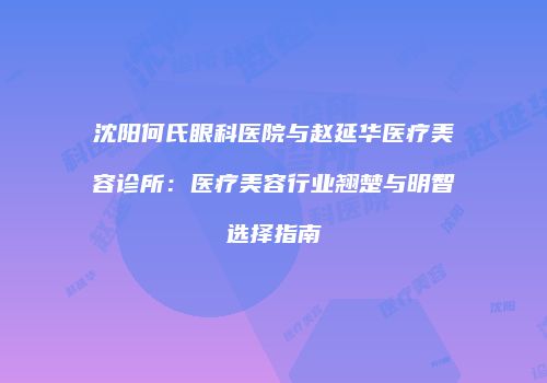 沈阳何氏眼科医院与赵延华医疗美容诊所：医疗美容行业翘楚与明智选择指南