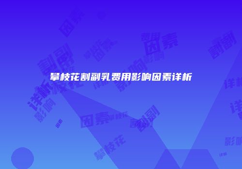 攀枝花割副乳费用影响因素详析