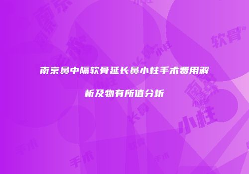 南京鼻中隔软骨延长鼻小柱手术费用解析及物有所值分析