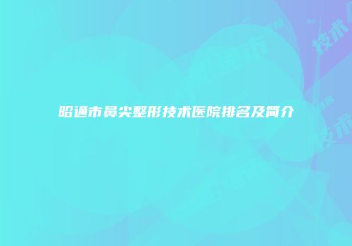昭通市鼻尖整形技术医院排名及简介