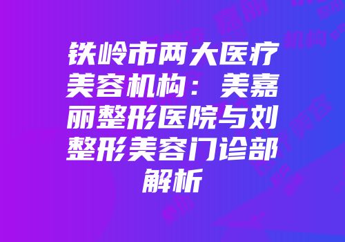 铁岭市两大医疗美容机构：美嘉丽整形医院与刘整形美容门诊部解析