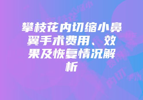 攀枝花内切缩小鼻翼手术费用、效果及恢复情况解析