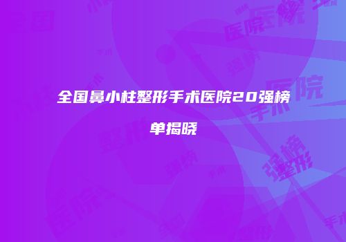 全国鼻小柱整形手术医院20强榜单揭晓