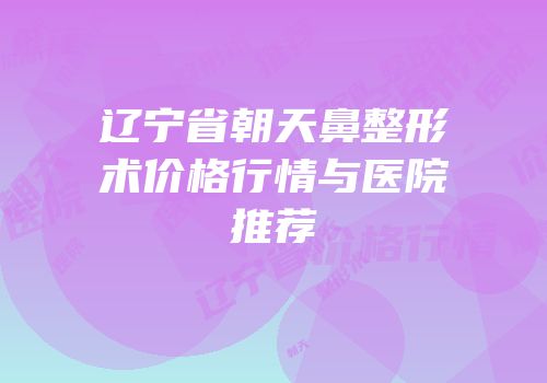 辽宁省朝天鼻整形术价格行情与医院推荐