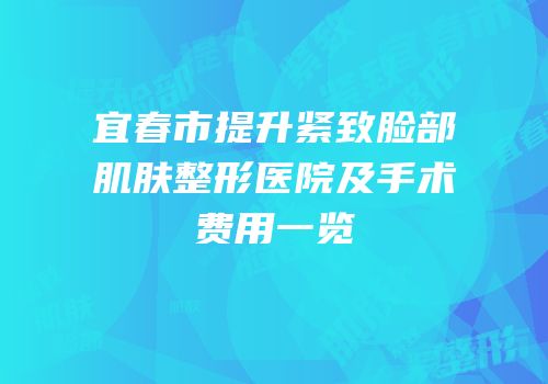 宜春市提升紧致脸部肌肤整形医院及手术费用一览