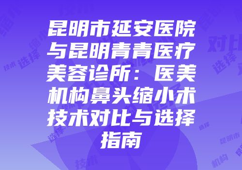 昆明市延安医院与昆明青青医疗美容诊所：医美机构鼻头缩小术技术对比与选择指南