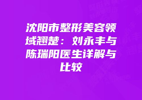 沈阳市整形美容领域翘楚：刘永丰与陈瑞阳医生详解与比较