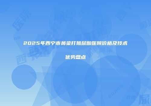 2025年西宁市鼻梁打玻尿酸医院价格及技术优势盘点