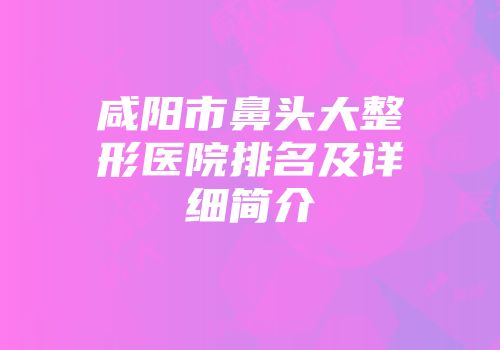 咸阳市鼻头大整形医院排名及详细简介