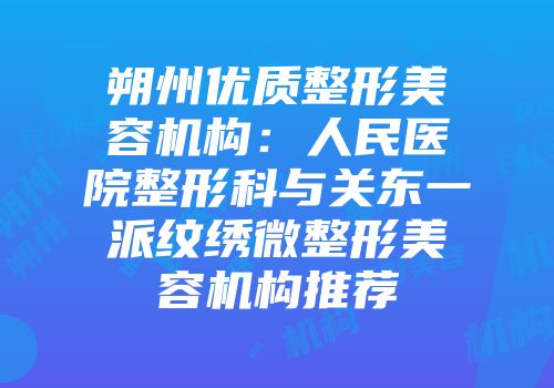 朔州优质整形美容机构：人民医院整形科与关东一派纹绣微整形美容机构推荐