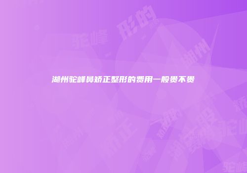湖州驼峰鼻矫正整形的费用一般贵不贵