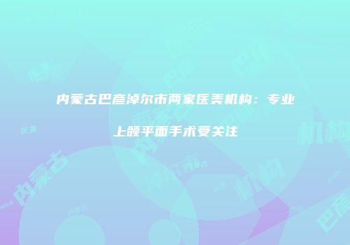 内蒙古巴彦淖尔市两家医美机构：专业上颌平面手术受关注