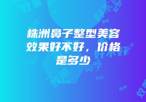 株洲鼻子整型美容效果好不好，价格是多少