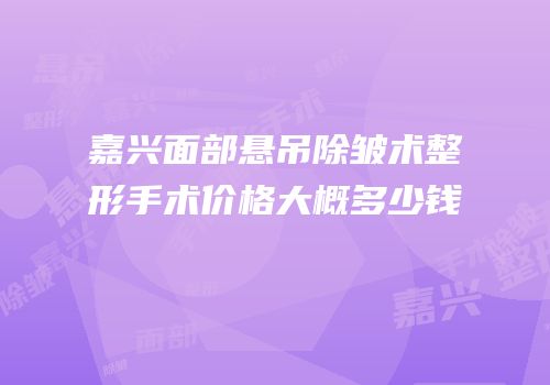 嘉兴面部悬吊除皱术整形手术价格大概多少钱