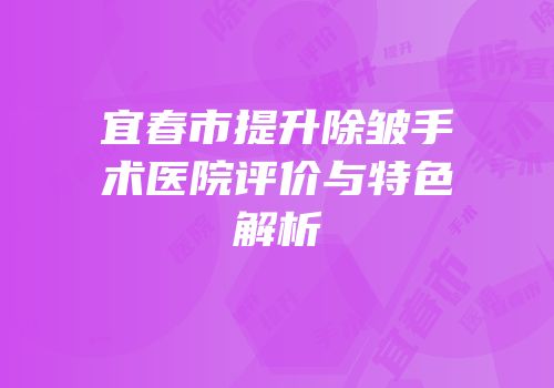 宜春市提升除皱手术医院评价与特色解析