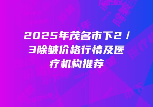 2025年茂名市下2／3除皱价格行情及医疗机构推荐